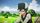 thumbnail-10