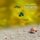 Artikelbild von Death Before, During & After... - English Audio Book