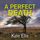 Artikelbild von A Perfect Death