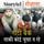 Artikelbild von रोटी बैंक ताकि कोई भूखा ना रहे