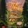 Artikelbild von The Faraway Inn