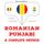 Artikelbild von Rom&acirc;nă - punjabi: o metodă completă