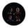 Artikelbild von Voyage (Picture Disc - Alternative)