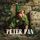 Artikelbild von Peter Pan - Audiobook