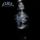 Artikelbild von The Unknown (Vinyl)
