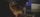 thumbnail-13