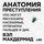 Artikelbild von Forensics: The Anatomy of Crime