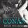 Artikelbild von Conan