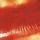 Artikelbild von Kiss Me,Kiss Me,Kiss Me (Remastered)