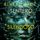 Artikelbild von Sentiero silenzioso (Un thriller di Sheila Stone &mdash; Libro 2)