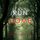 Artikelbild von Run Home (A Serena Knox Suspense Thriller&mdash;Book Three)