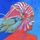 Artikelbild von Nautiles