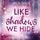 Artikelbild von Like Shadows We Hide