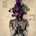 Artikelbild von Chaos In Bloom