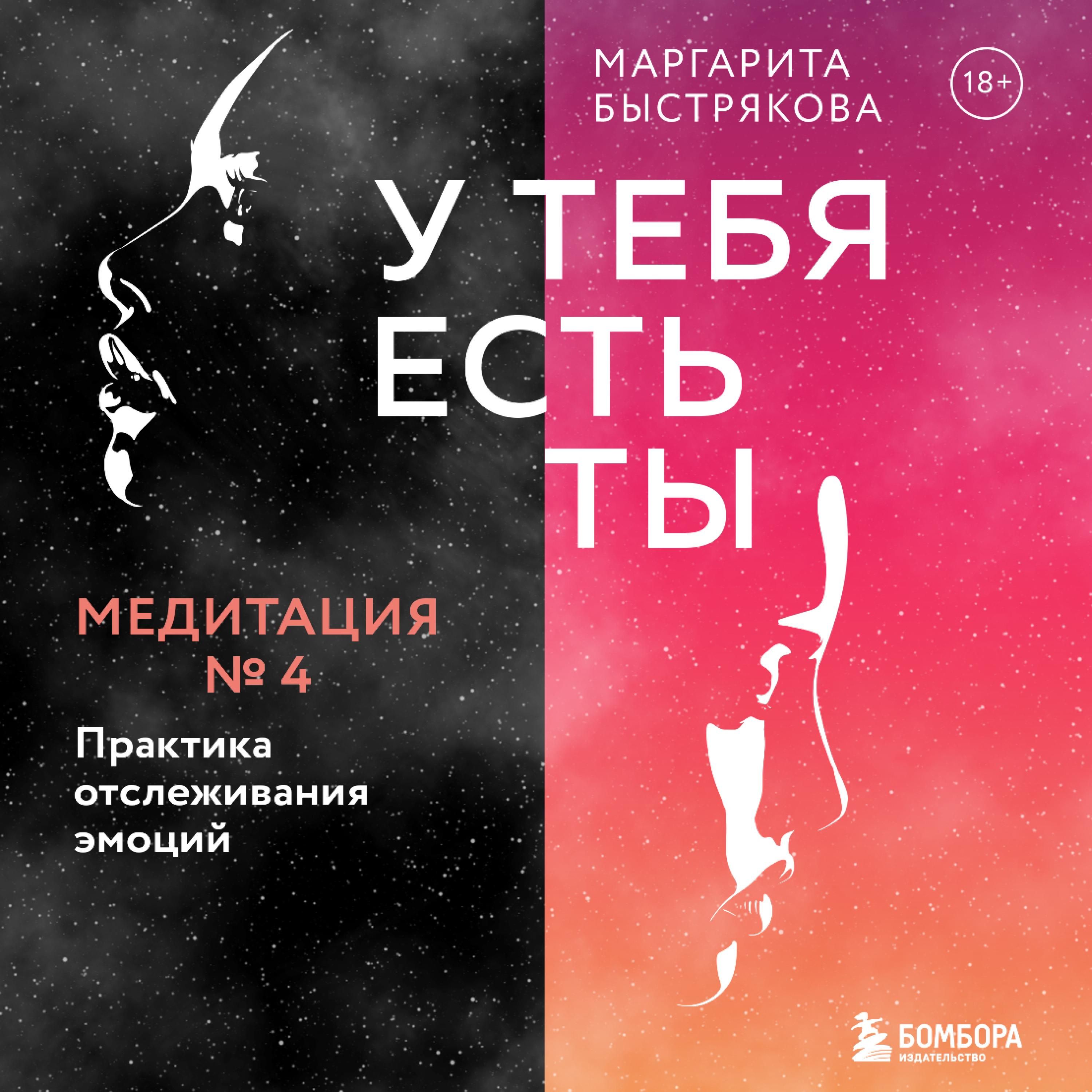 Artikelbild von U tebya est' ty. Meditaciya 4. Praktika otslezhivaniya emociy