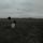 Artikelbild von The Search