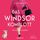 Artikelbild von Das Windsor-Komplott