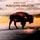 Artikelbild von Saving Grace