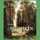 Artikelbild von Ivan Shishkin