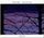 Artikelbild von Shadow Bright