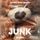 Artikelbild von Junk