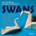 Artikelbild von Swans