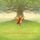 Artikelbild von Pippa and the Singing Tree