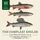 Artikelbild von The Complete Angler (Unabridged)