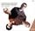 Artikelbild von Bass Player's Delight-Ochsenbauer Meets Sokal