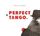 Artikelbild von Perfect Tango