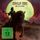 Artikelbild von Mysterium