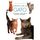 Artikelbild von Convivir con su gato