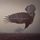 Artikelbild von The Fall Of Hearts (Digipak)