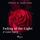 Artikelbild von Fading of the Light: A Love Story