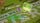 thumbnail-9