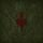 Artikelbild von Wardruna: Yggdrasil