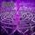 Artikelbild von Maze Envy