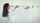 thumbnail-13