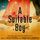 Artikelbild von A Suitable Boy