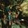 Artikelbild von Bayou Country (LP)