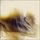 Artikelbild von The Lighthouse