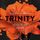 Artikelbild von Trinity - T&ouml;dliche Liebe (Die Trinity-Serie 3)