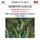 Artikelbild von Symphonettes 2-4/Spirituals for Orchestra
