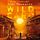 Artikelbild von Wild Card