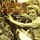 Artikelbild von Home Front-Songs from World War II