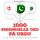 Artikelbild von 1000 essentielle ord i Urdu