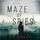 Artikelbild von Maze of Spies (A Brianna Dagger Espionage Thriller&mdash;Book 1)