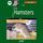 Artikelbild von Los hamsters