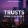 Artikelbild von Trusts &ndash; A Practical Guide 2