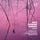Artikelbild von Bach,Telemann & Albinoni: Concerti